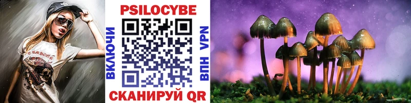 это как зайти  Ковдор  Галлюциногенные грибы Psilocybine cubensis 